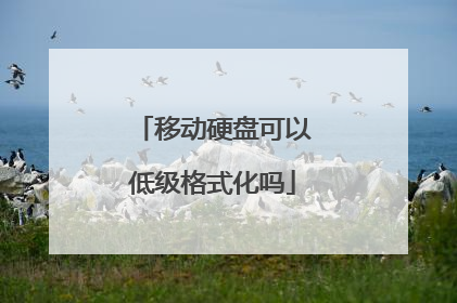 移动硬盘可以低级格式化吗