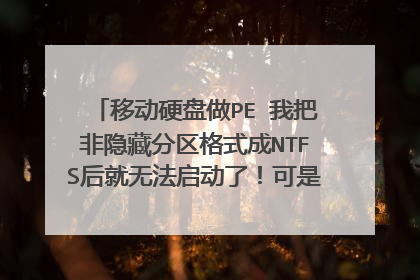 移动硬盘做PE 我把非隐藏分区格式成NTFS后就无法启动了!可是U盘格成NTFS就可以启动呢?望大虾指教!