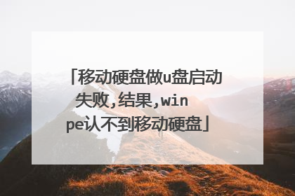 移动硬盘做u盘启动失败,结果,win pe认不到移动硬盘
