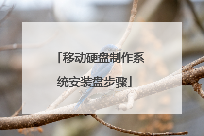 移动硬盘制作系统安装盘步骤