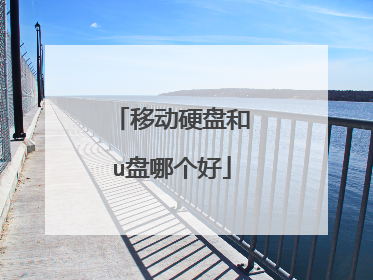 移动硬盘和u盘哪个好