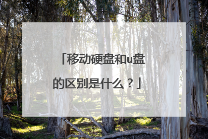 移动硬盘和u盘的区别是什么?