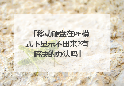移动硬盘在PE模式下显示不出来?有解决的办法吗