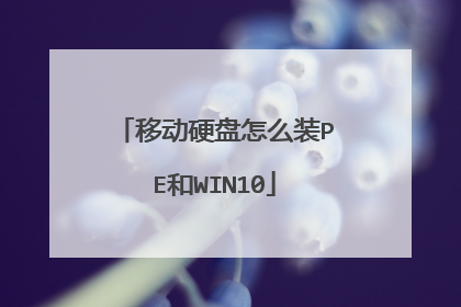 移动硬盘怎么装PE和WIN10