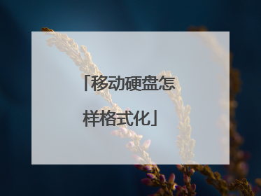 移动硬盘怎样格式化