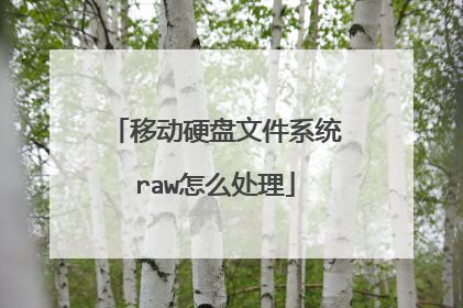 移动硬盘文件系统raw怎么处理