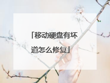 移动硬盘有坏道怎么修复