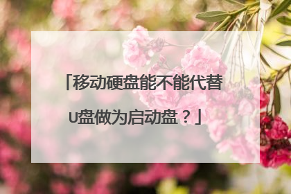 移动硬盘能不能代替U盘做为启动盘？