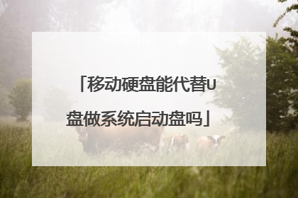 移动硬盘能代替U盘做系统启动盘吗