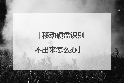 移动硬盘识别不出来怎么办
