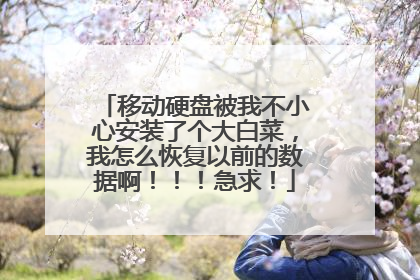 移动硬盘被我不小心安装了个大白菜,我怎么恢复以前的数据啊!!!急求!