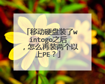 移动硬盘装了wintogo之后，怎么再装两个以上PE？