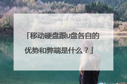 移动硬盘跟U盘各自的优势和弊端是什么?