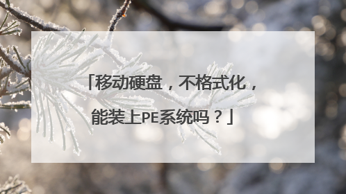 移动硬盘,不格式化,能装上PE系统吗?