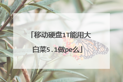 移动硬盘1T能用大白菜5.1做pe么