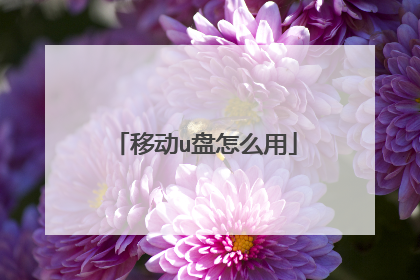 移动u盘怎么用