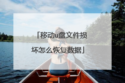 移动u盘文件损坏怎么恢复数据