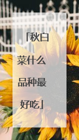 秋白菜什么品种最好吃