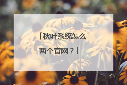 秋叶系统怎么两个官网?