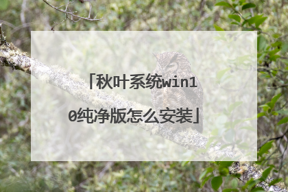 秋叶系统win10纯净版怎么安装