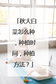 秋大白菜怎么种,种植时间,种植方法?