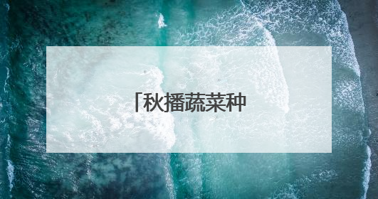秋播蔬菜种子有哪些