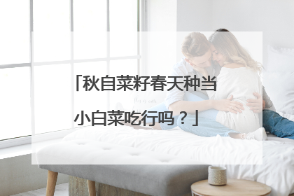 秋自菜籽春天种当小白菜吃行吗？