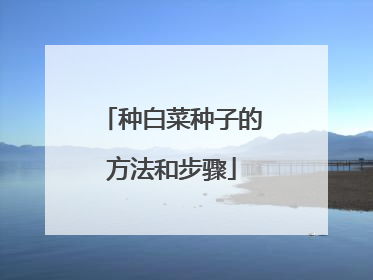 种白菜种子的方法和步骤