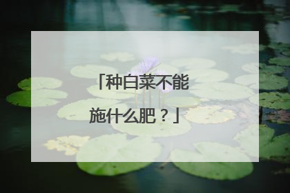 种白菜不能施什么肥?