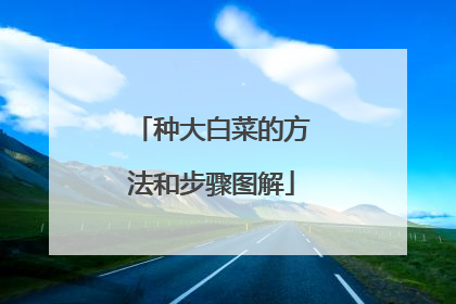 种大白菜的方法和步骤图解