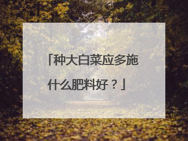 种大白菜应多施什么肥料好？