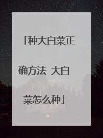 种大白菜正确方法 大白菜怎么种