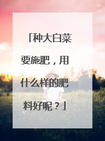 种大白菜要施肥，用什么样的肥料好呢？