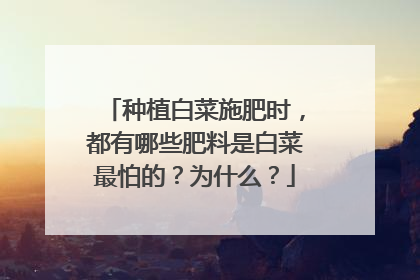 种植白菜施肥时,都有哪些肥料是白菜最怕的?为什么?