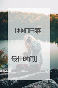 种植白菜最佳时间
