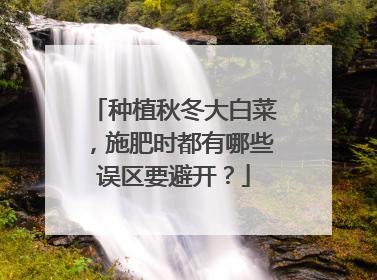 种植秋冬大白菜，施肥时都有哪些误区要避开？