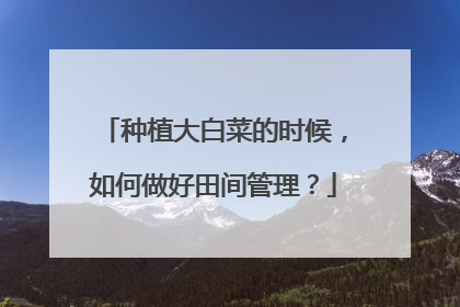 种植大白菜的时候,如何做好田间管理?