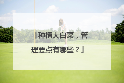 种植大白菜,管理要点有哪些?