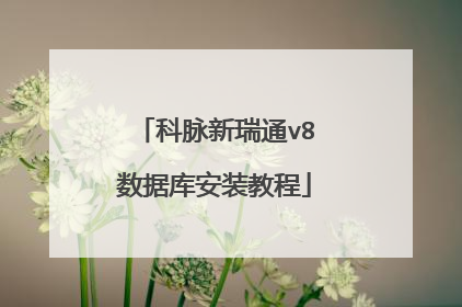 科脉新瑞通v8数据库安装教程