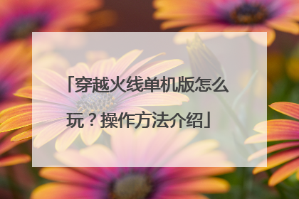 穿越火线单机版怎么玩?操作方法介绍