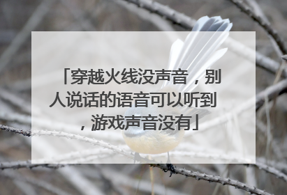 穿越火线没声音,别人说话的语音可以听到,游戏声音没有