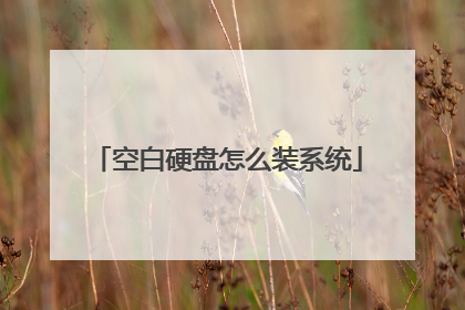 空白硬盘怎么装系统