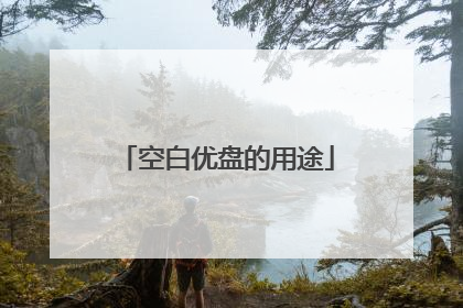 空白优盘的用途