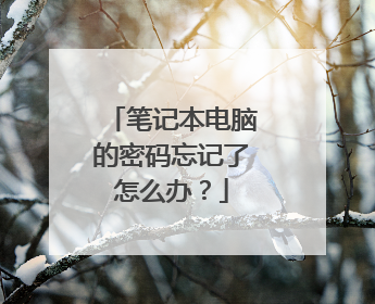笔记本电脑的密码忘记了怎么办?