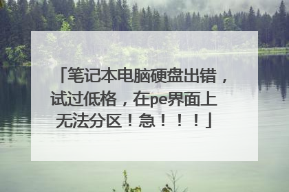 笔记本电脑硬盘出错,试过低格,在pe界面上无法分区!急!!!