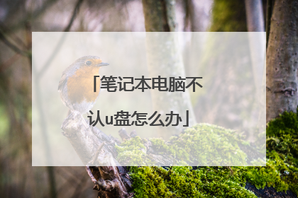 笔记本电脑不认u盘怎么办