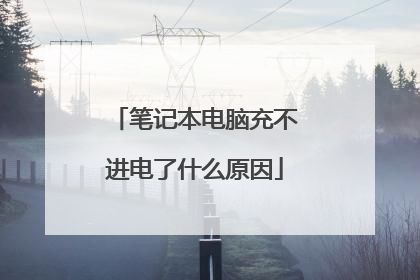 笔记本电脑充不进电了什么原因