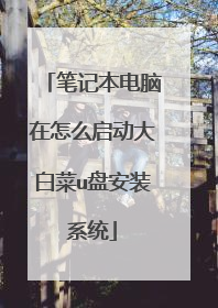 笔记本电脑在怎么启动大白菜u盘安装系统