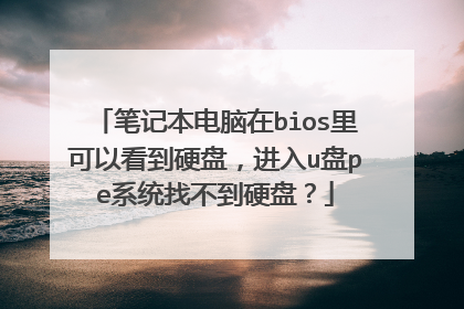 笔记本电脑在bios里可以看到硬盘，进入u盘pe系统找不到硬盘？
