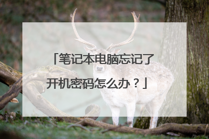 笔记本电脑忘记了开机密码怎么办?